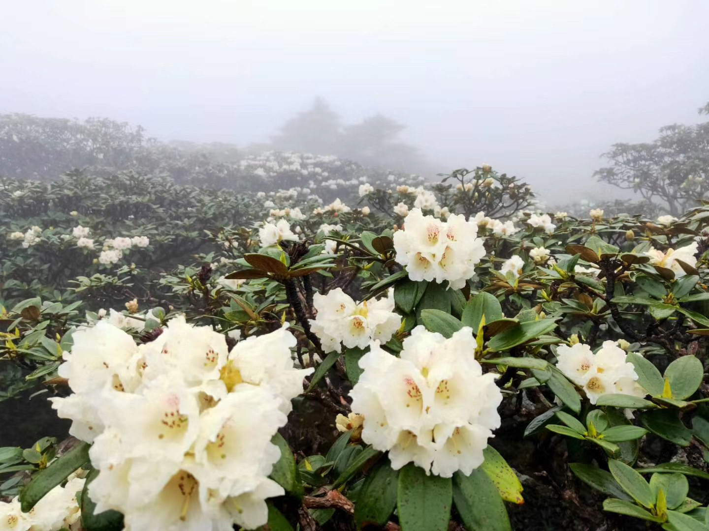 昆明愛國(guó)主義教育