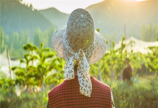 2020年云南康養旅游發展具備哪些資源優勢？現狀如何？