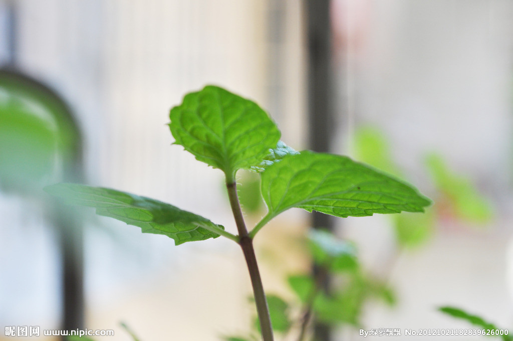 在昆明舉辦研學旅行有哪些優勢？