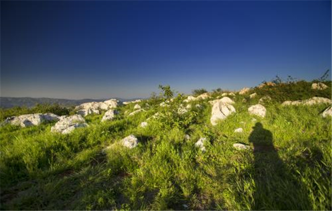 長蟲山森林公園