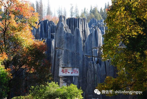 石林，中國天然氧吧