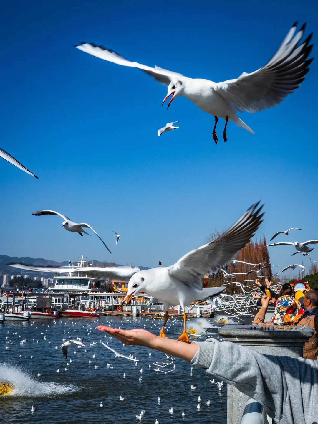 云南旅游,云南旅行社,云南團建公司,云南策劃公司,昆明旅游,昆明旅行社,昆明團建公司,昆明策劃公司,昆明會議會展：昆明兩日游攻略！