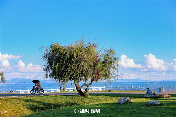 昆明旅游：忙趁東風(fēng)放紙鳶！去有風(fēng)的地方，在官渡放飛春日好春光~